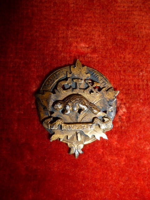 MM282 - 109th Regiment Officer's Sterling Silver Collar Badge